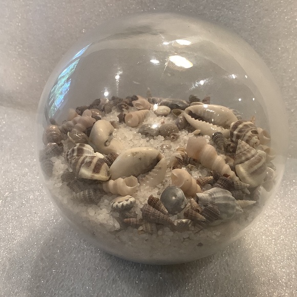 Vintage Glass Paperweight with Sand and Seashells - Picture 1 of 5